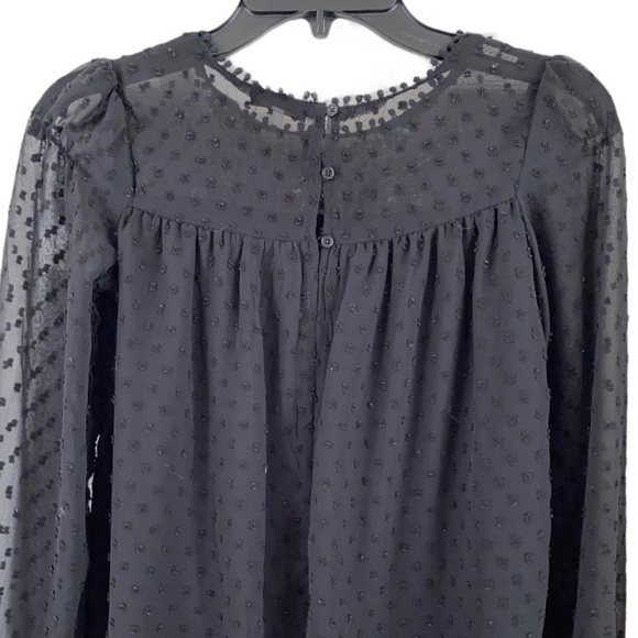 ELLA MOSS Embroidery Swiss Dot Sheer Blouse Size 0 - Picture 8 of 12
